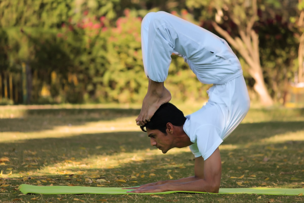 Flexibility improvement demonstration